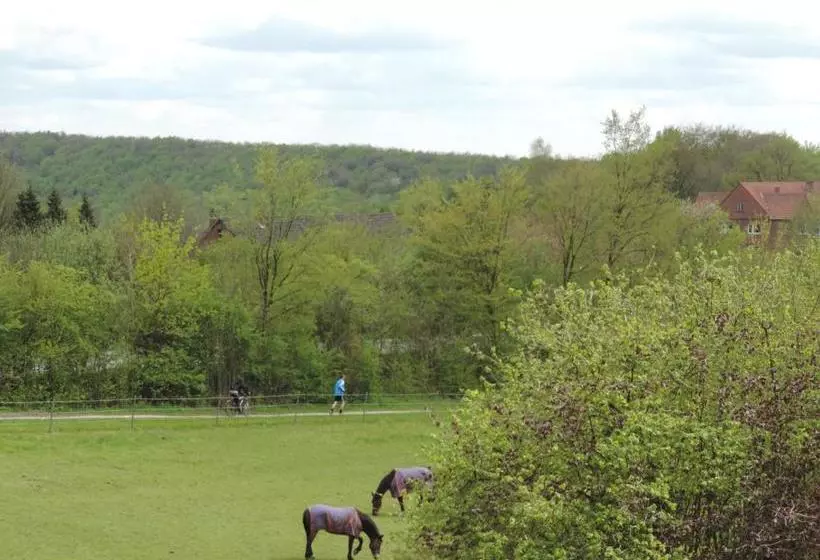 ペンション Gasthaus Zum Dörenberg