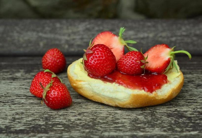 膳宿费 Gasthaus Zum Dörenberg