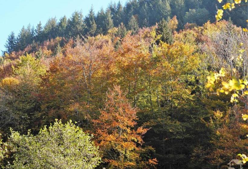 펜션 Landgasthaus Kurz Hotel & Restaurant Am Feldberg Schwarzwald