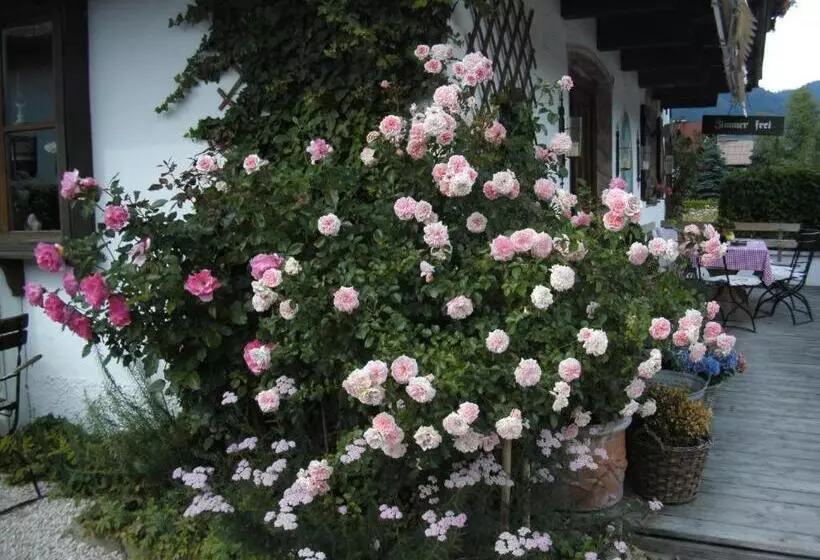 Bed and Breakfast Pension Louise