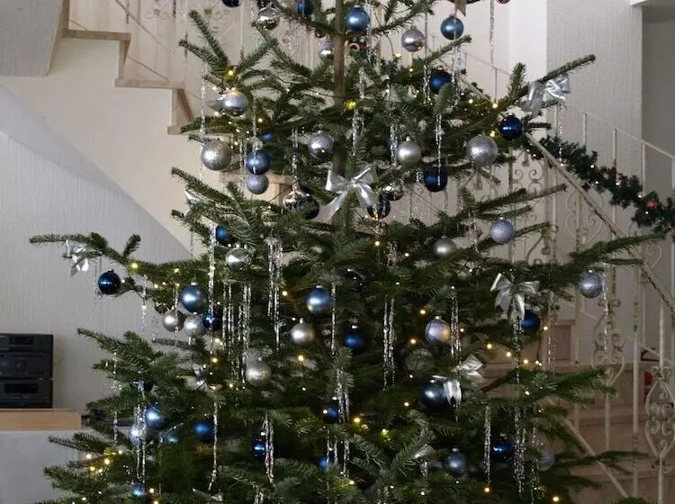 住宿加早餐 Pension Ursula