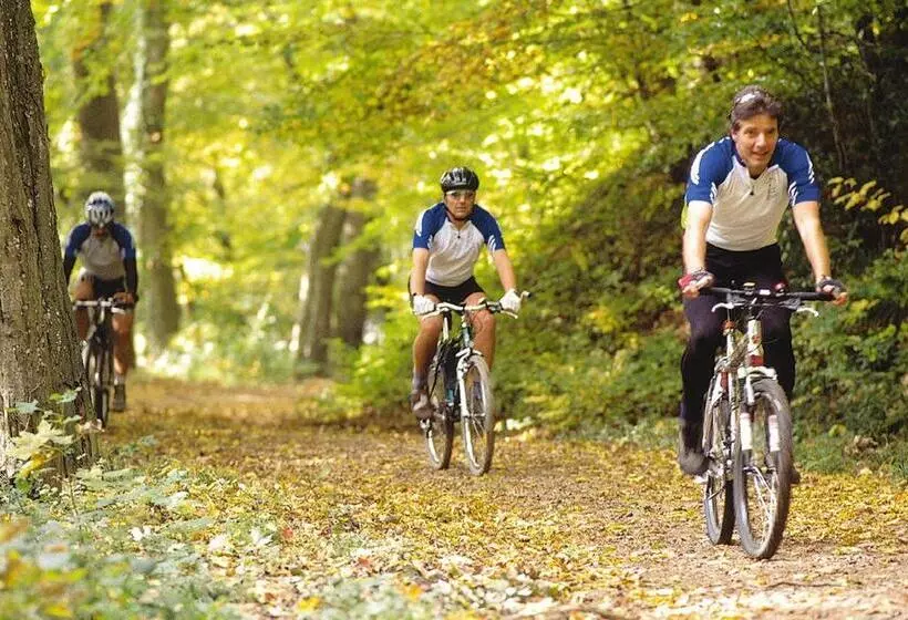 Отель Behringer S Traube