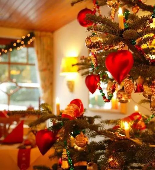 Отель Behringer S Traube