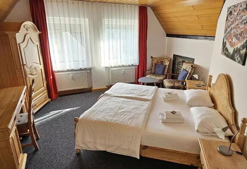 Отель Hirsch Günzburg