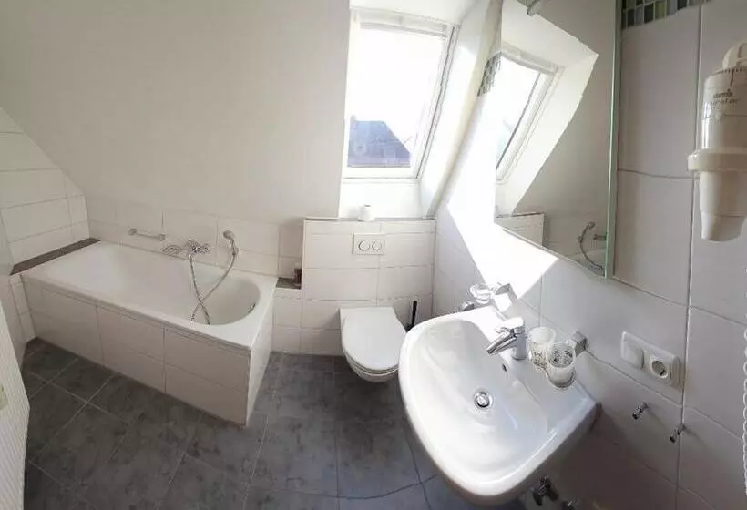 Отель Hirsch Günzburg