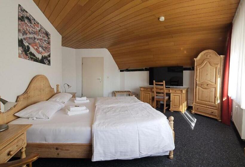 호텔 Hirsch Günzburg