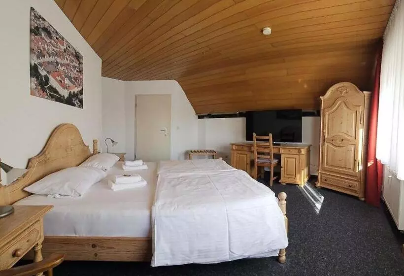 Отель Hirsch Günzburg