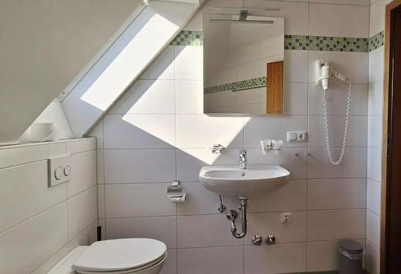 Отель Hirsch Günzburg