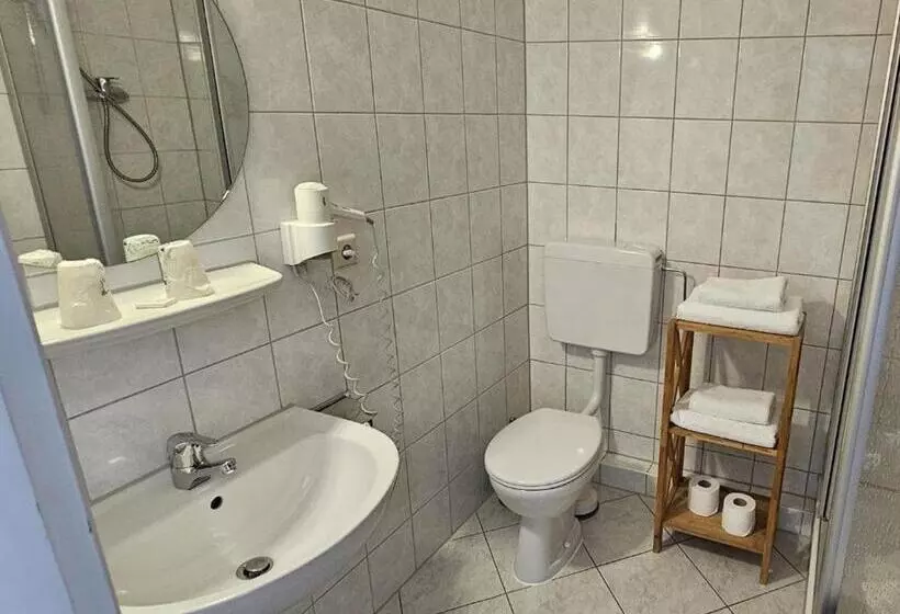 Отель Hirsch Günzburg