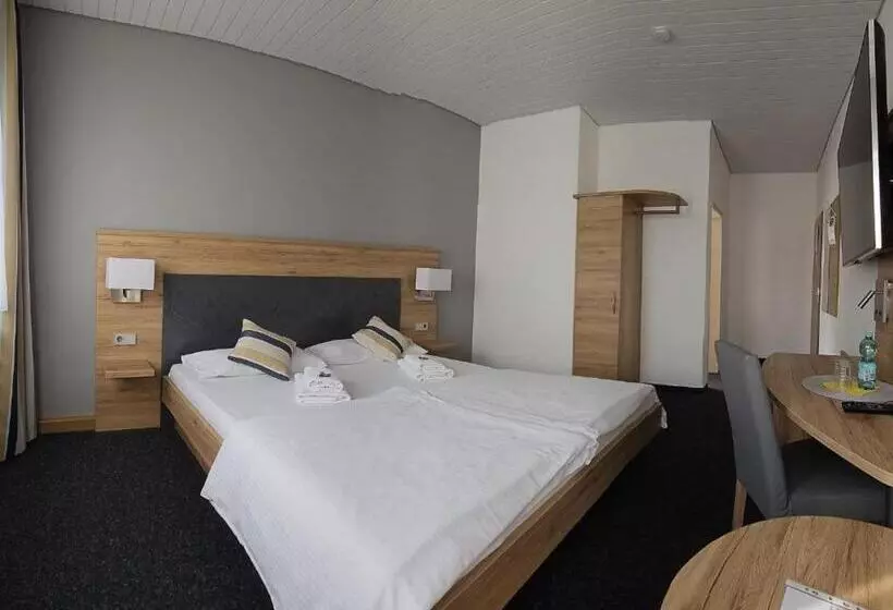 Отель Hirsch Günzburg