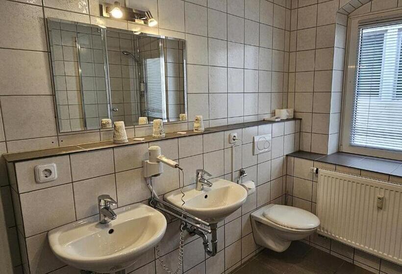 호텔 Hirsch Günzburg