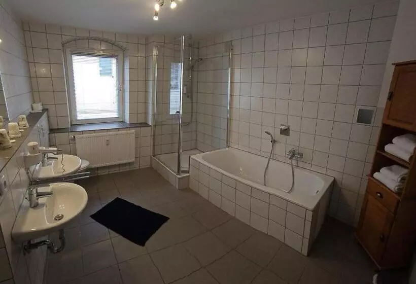 Отель Hirsch Günzburg