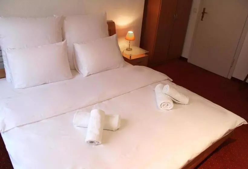 בית מלון כפרי Mozart Bonn