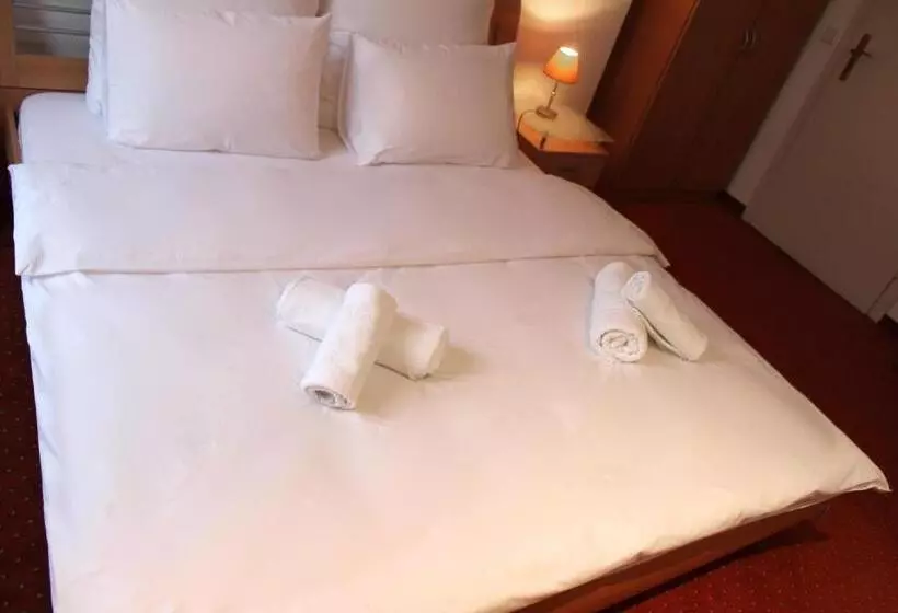 בית מלון כפרי Mozart Bonn