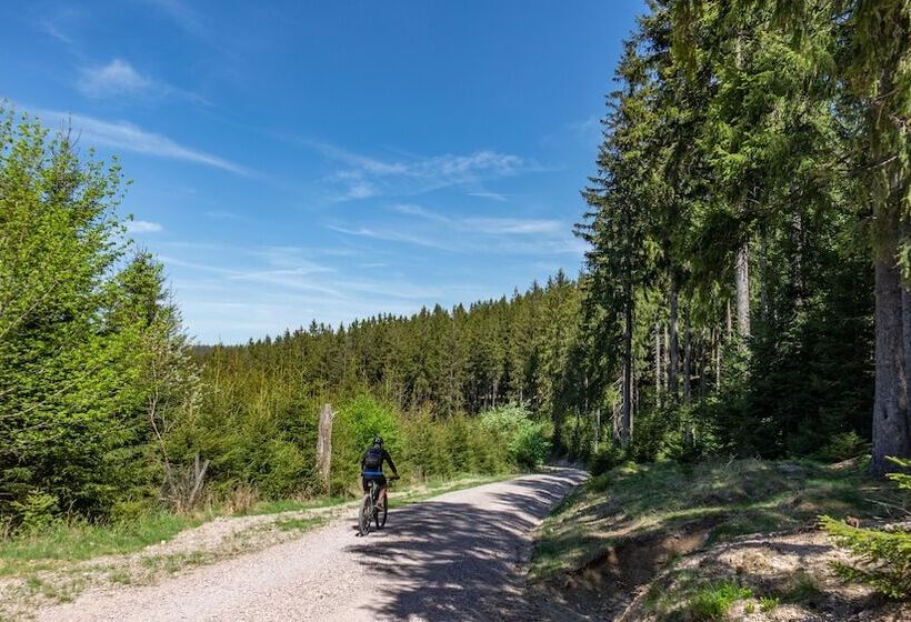 ホテル Pension Haus Saarland