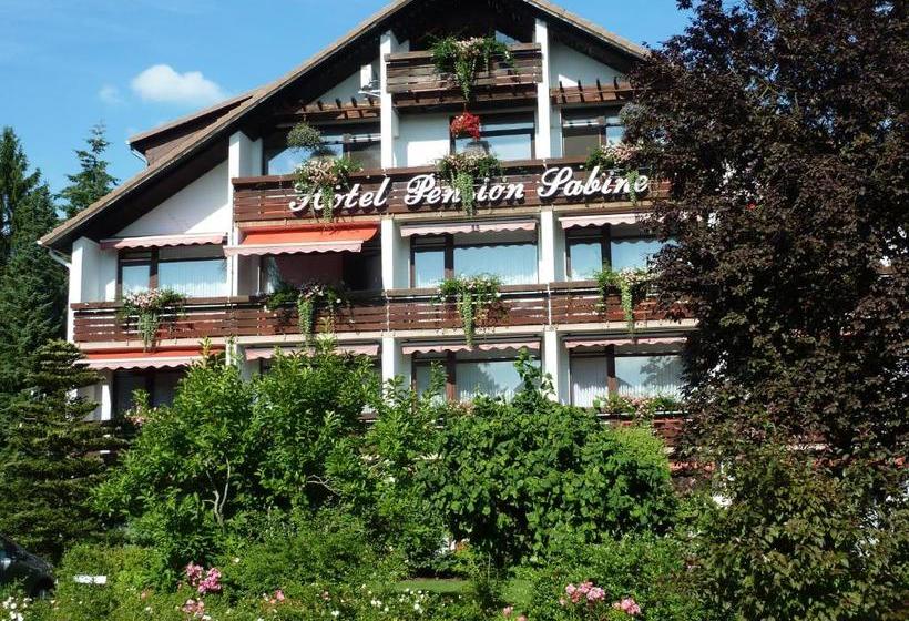 酒店 Pension Sabine