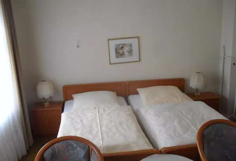 בית מלון כפרי Richthofen