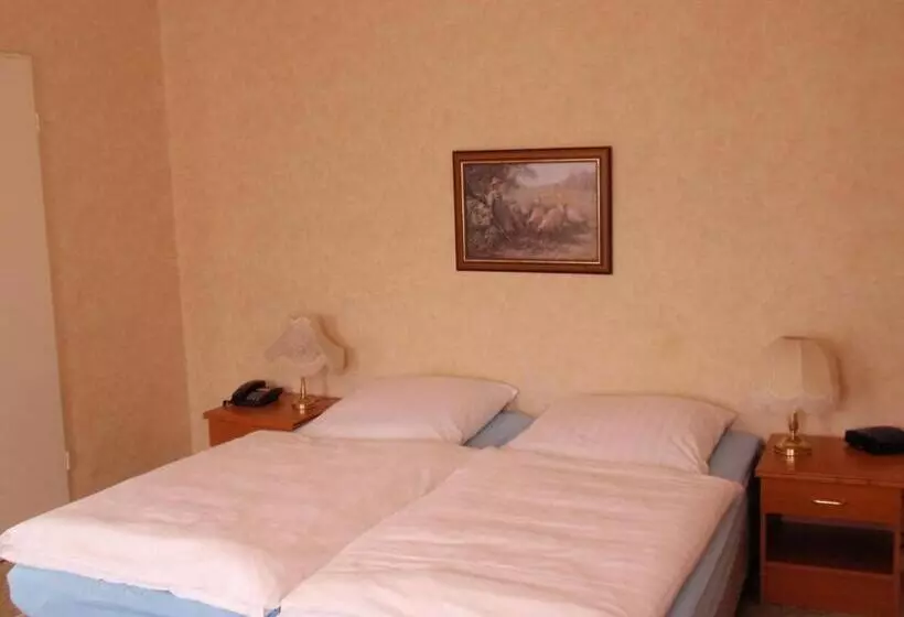 בית מלון כפרי Richthofen