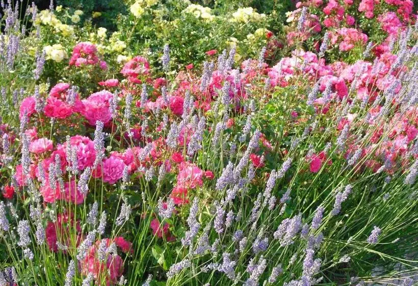 Pensão Boardingroom