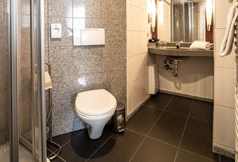 레지던스 Le Petit Palais   Hotel/pension