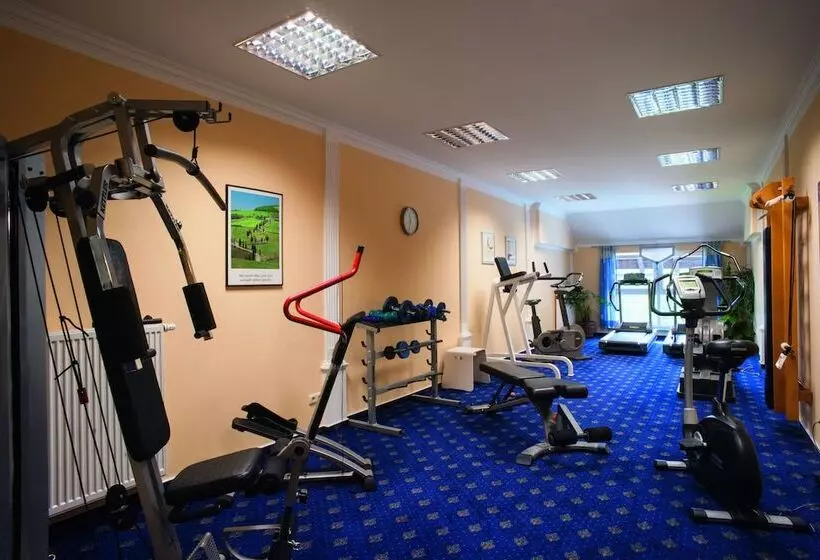 Wellness  Und Vitalhotel Böhmhof