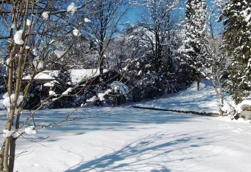 酒店 Grainauer Hof