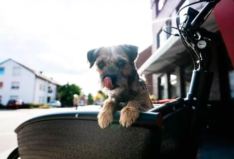 호텔 Inside Nordhorn By Hackmann