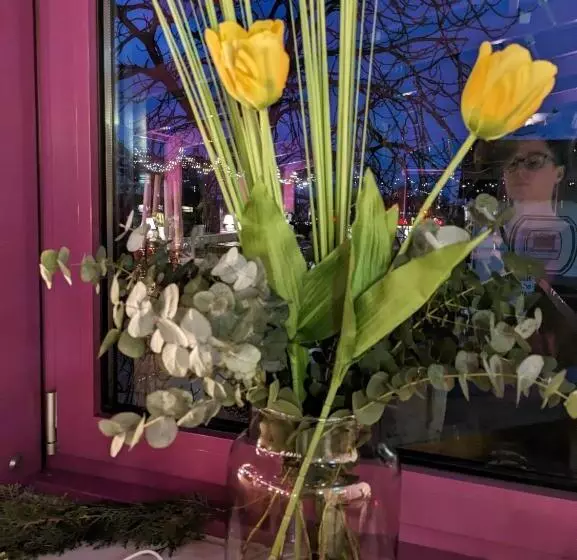 בית מלון כפרי Princess