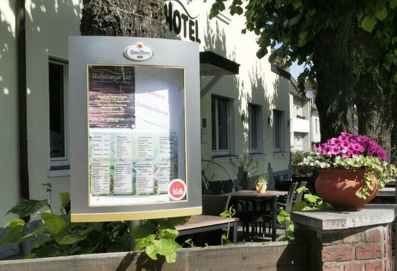 酒店 Raffelberger Hof