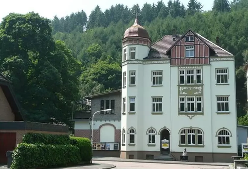 Отель Weidenhof