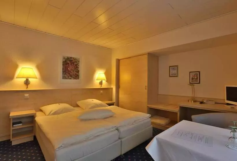 Parkhotel Stadthagen