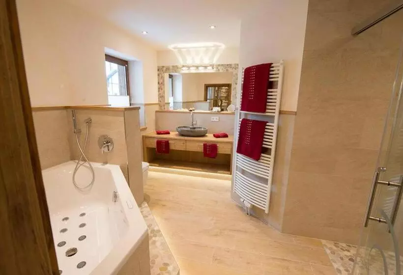 膳宿费 Wellness Hotel Adler