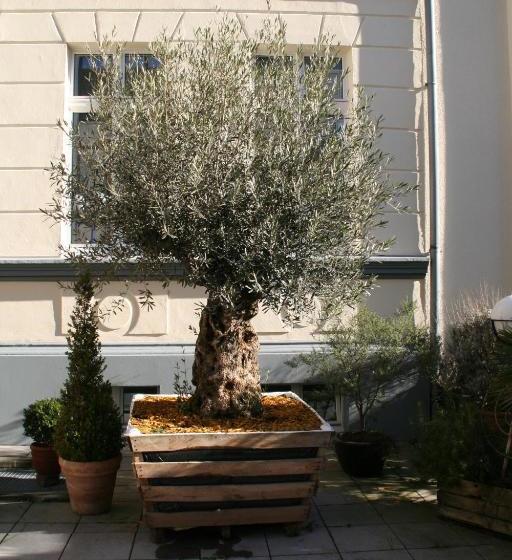 בית מלון כפרי Am Kastell