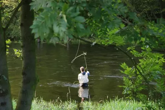 Bed and Breakfast Zur Linde