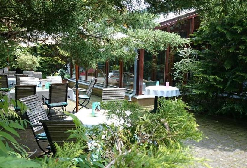 فندق Schneiderlein