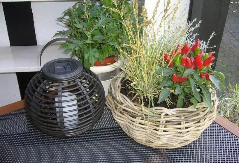 Отель Theile Garni