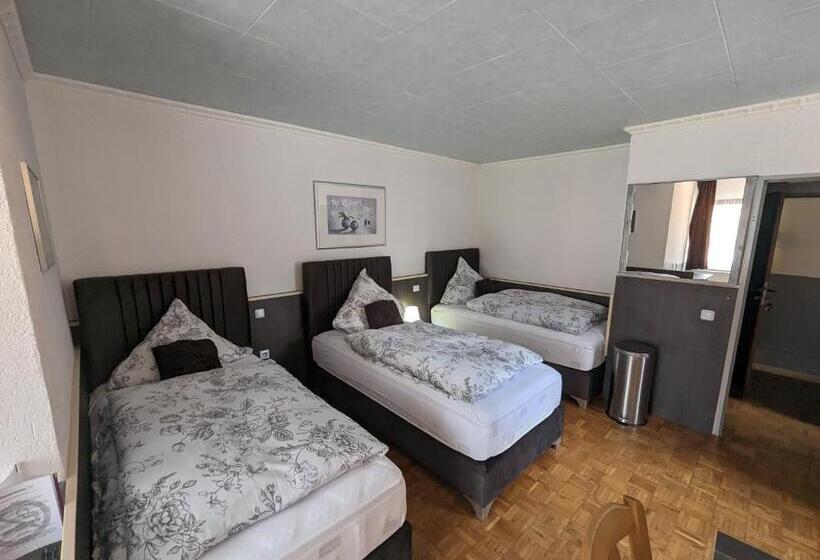 Отель Eiserner Anton