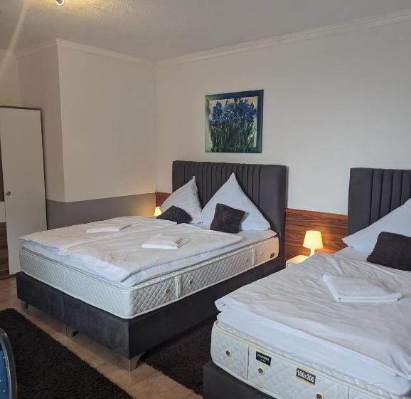 Отель Eiserner Anton