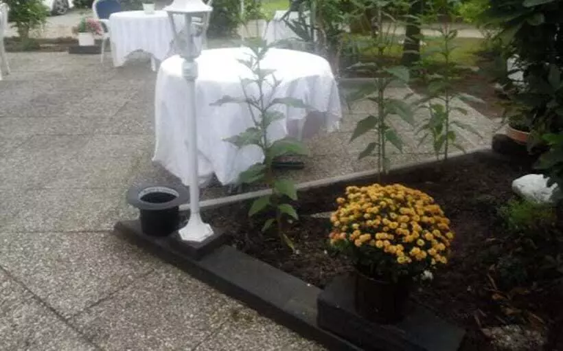 فندق Zum Alten Torfkahn