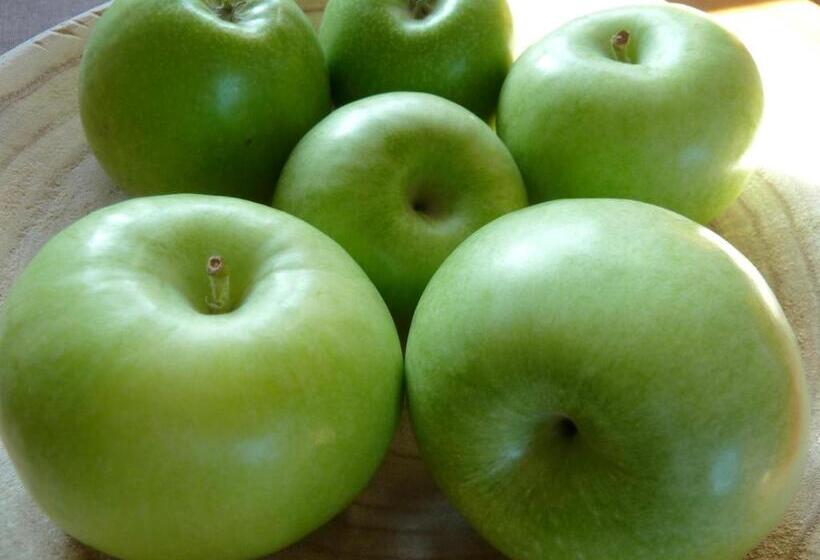 בית מלון כפרי Zum Bügeleisen