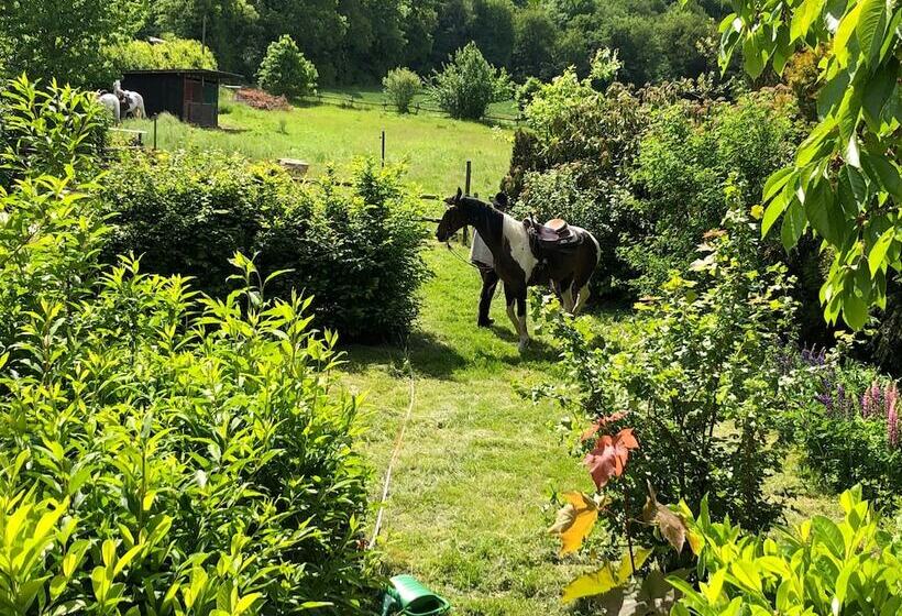 Landhaus Vor Burg Eltz