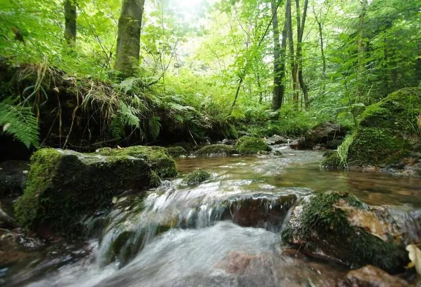 Wagners Hotel Im Thüringer Wald
