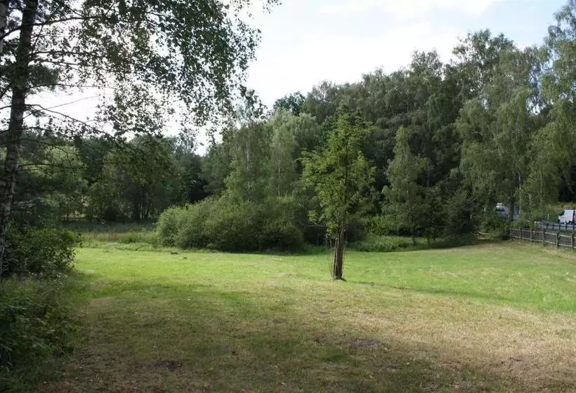 Zu Den Grauen Ziegenböcken