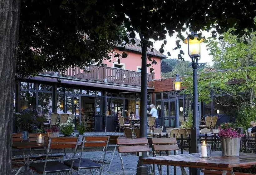 Hotel Elbterrasse Wachwitz