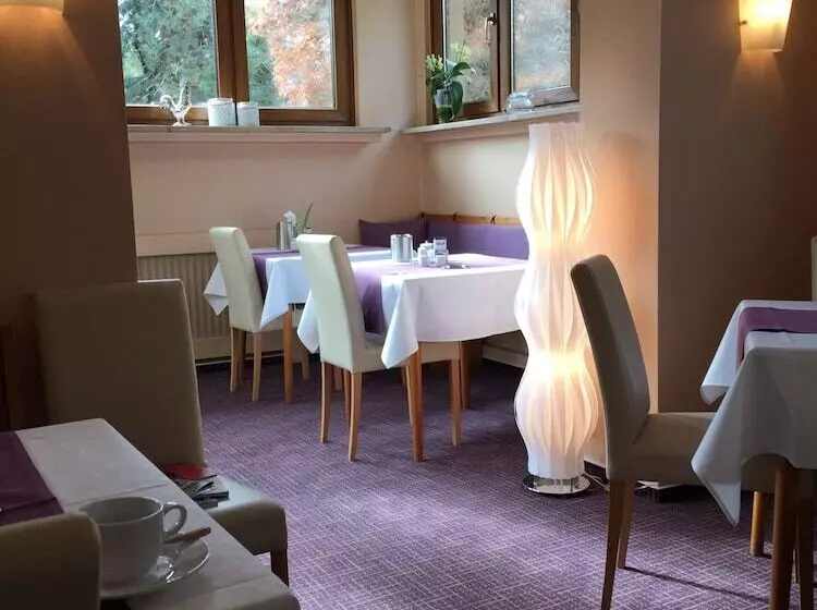 ホテル Elisabetha Garni