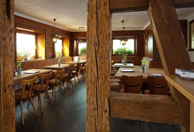 Отель Gasthof Adler