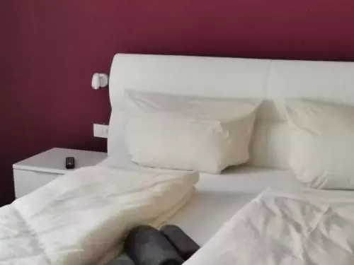 酒店 Grüner Baum   Melissone Italian Restaurant