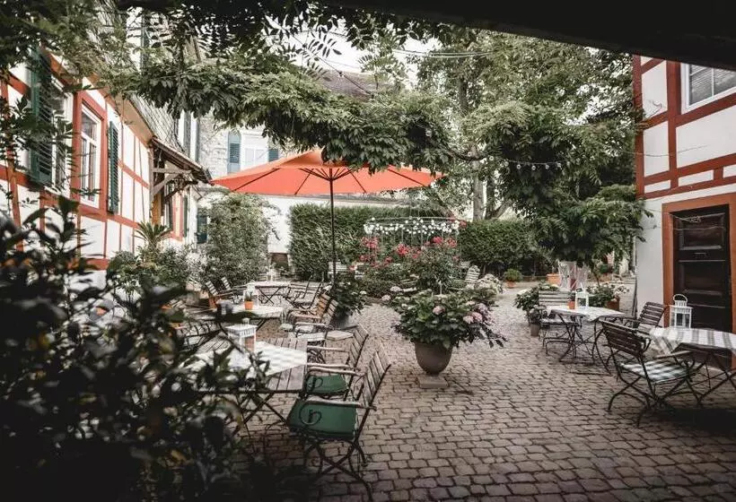 בית מלון כפרי Klostermühle