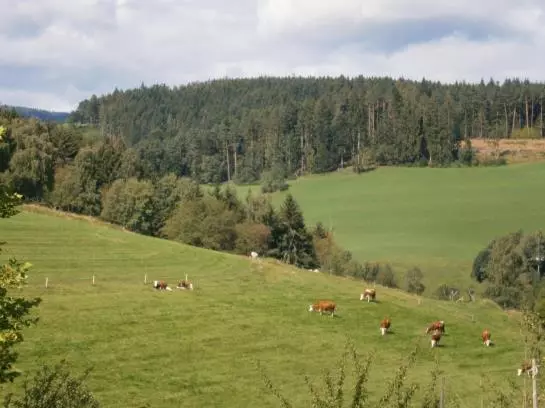膳宿费 Landgasthof Berghof