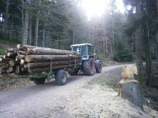 膳宿费 Landgasthof Berghof